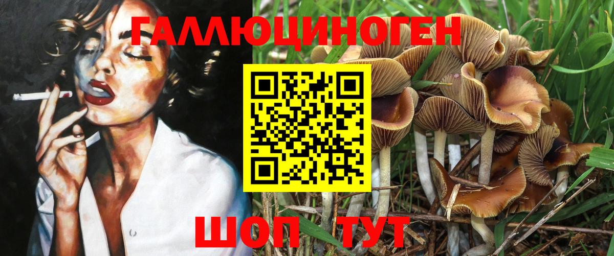 Псилоцибиновые грибы GOLDEN TEACHER Когалым